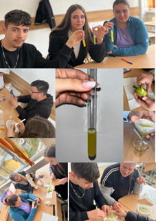 A collage of people doing experiments

AI-generated content may be incorrect.